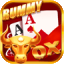 50 bonus rummy