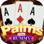 rummy se icon